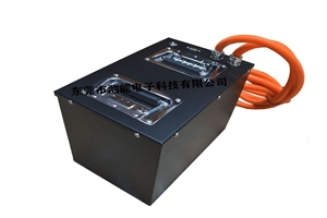 設(shè)備鋰電池 AGV車(chē) RGV車(chē) 物流車(chē)磷酸鐵鋰電池 長(zhǎng)壽命 24V 25.6V60Ah